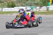 20110501_ales_agnus (3393)